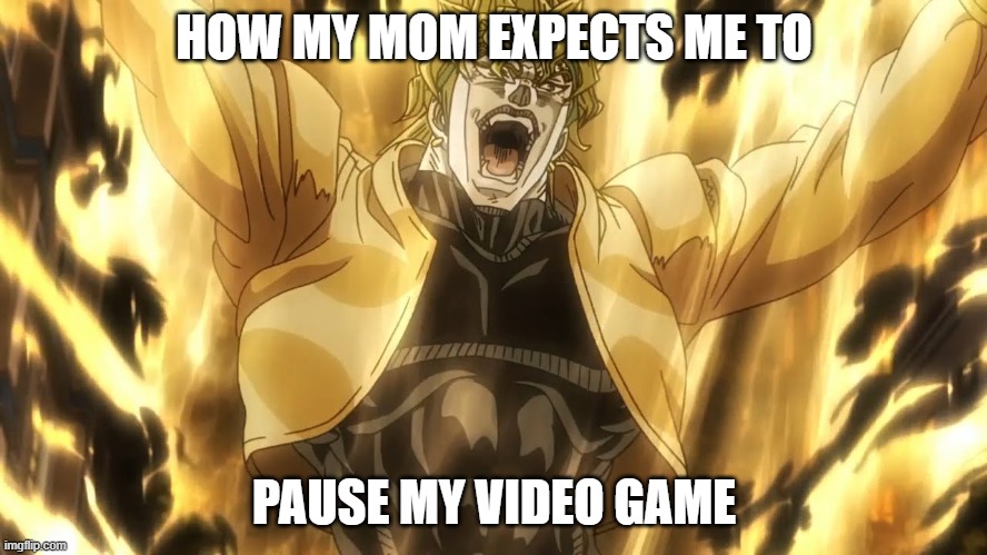 ZA WARUDO | HOW MY MOM EXPECTS ME TO; PAUSE MY VIDEO GAME | image tagged in memes | made w/ Imgflip meme maker