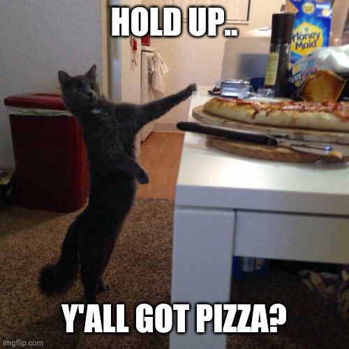 NONE FOR KITTY | HOLD UP.. Y'ALL GOT PIZZA? | image tagged in cats,funny cats,pizza | made w/ Imgflip meme maker