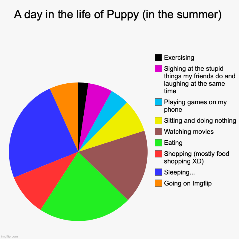 Well if everyone else made one in my stream, I figured I might as well XD | A day in the life of Puppy (in the summer) | Going on Imgflip , Sleeping..., Shopping (mostly food shopping XD), Eating, Watching movies, Si | image tagged in charts,pie charts,a day in my life,during the week,weekends is mostly reading sleeping and eating | made w/ Imgflip chart maker