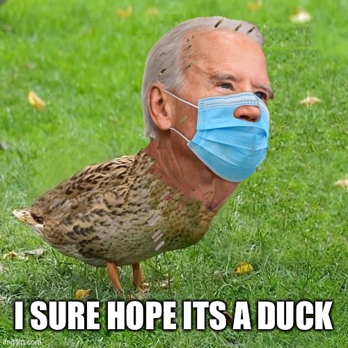 Joe BidenDuck | I SURE HOPE ITS A DUCK | image tagged in joe bidenduck | made w/ Imgflip meme maker