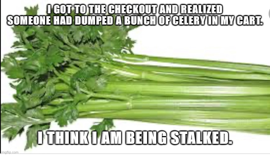 Draw your attention | I GOT TO THE CHECKOUT AND REALIZED SOMEONE HAD DUMPED A BUNCH OF CELERY IN MY CART. I THINK I AM BEING STALKED. | image tagged in pencil | made w/ Imgflip meme maker