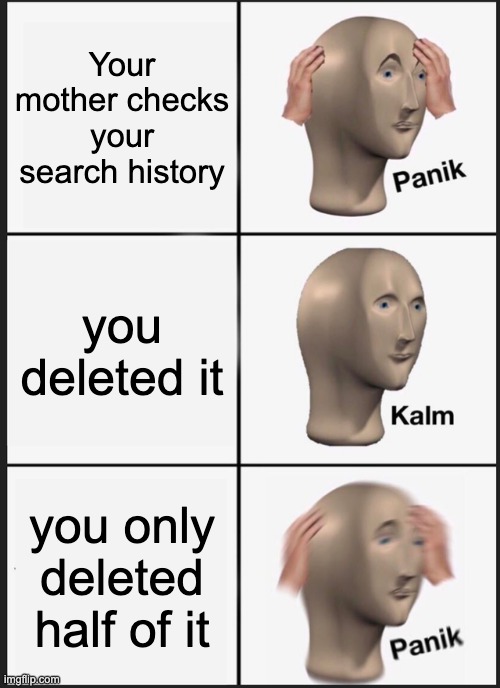 Oof | Your mother checks your search history; you deleted it; you only deleted half of it | image tagged in memes,panik kalm panik | made w/ Imgflip meme maker