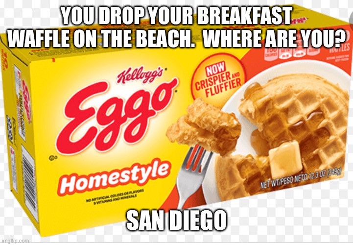 Let go of my Eggo | YOU DROP YOUR BREAKFAST WAFFLE ON THE BEACH.  WHERE ARE YOU? SAN DIEGO | image tagged in waffles | made w/ Imgflip meme maker