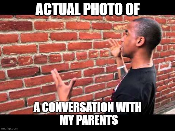 ACTUAL PHOTO OF; A CONVERSATION WITH
 MY PARENTS | image tagged in brick wall guy | made w/ Imgflip meme maker