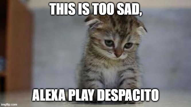 Sad kitten | THIS IS TOO SAD, ALEXA PLAY DESPACITO | image tagged in sad kitten | made w/ Imgflip meme maker