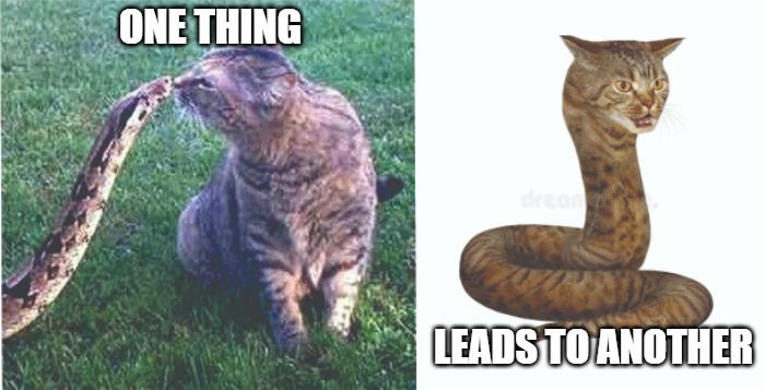 NO | ONE THING; LEADS TO ANOTHER | image tagged in cats,snakes,memes,fun,funny,2020 | made w/ Imgflip meme maker