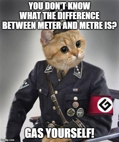 Grammar Nazi Cat | YOU DON'T KNOW WHAT THE DIFFERENCE BETWEEN METER AND METRE IS? GAS YOURSELF! | image tagged in grammar nazi cat,grammar nazi,cat memes,gas,funny cat memes,bad grammar and spelling memes | made w/ Imgflip meme maker