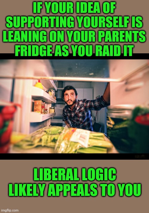Move out and see what the world is really like | IF YOUR IDEA OF SUPPORTING YOURSELF IS LEANING ON YOUR PARENTS FRIDGE AS YOU RAID IT; LIBERAL LOGIC LIKELY APPEALS TO YOU | image tagged in snowflake,millenial,loser | made w/ Imgflip meme maker