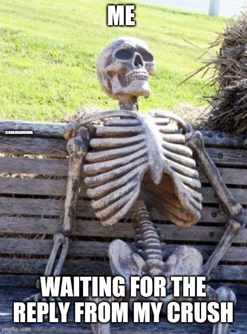 Let me wait | ME; @SANJIBANSINHA; WAITING FOR THE REPLY FROM MY CRUSH | image tagged in memes,waiting skeleton,crush | made w/ Imgflip meme maker
