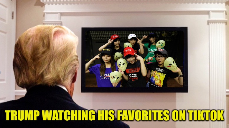 He saved a lot of it before he banned it. | TRUMP WATCHING HIS FAVORITES ON TIKTOK | image tagged in trump,kamen joshi | made w/ Imgflip meme maker