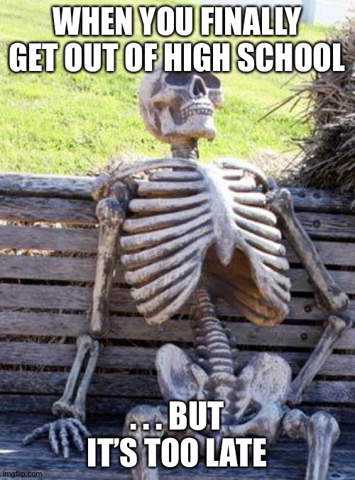 High school | WHEN YOU FINALLY GET OUT OF HIGH SCHOOL; . . . BUT IT’S TOO LATE | image tagged in memes,waiting skeleton | made w/ Imgflip meme maker
