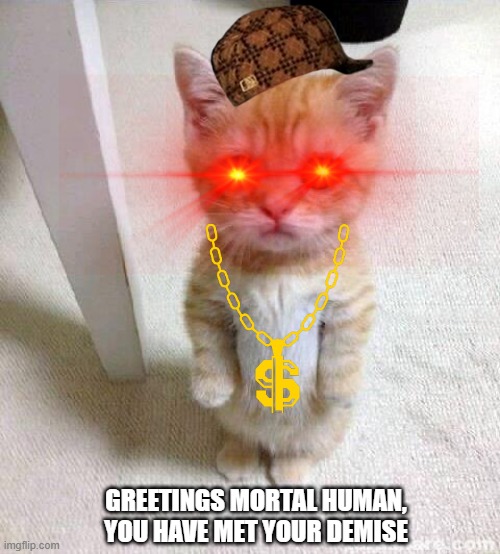 i guarantee if i saw this i would be so scared | GREETINGS MORTAL HUMAN, YOU HAVE MET YOUR DEMISE | image tagged in memes,angry cat | made w/ Imgflip meme maker