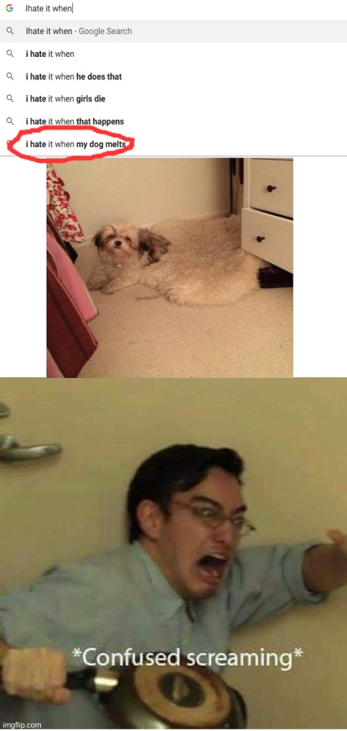 my dog is malting! Malting! | image tagged in confused screaming,dogs | made w/ Imgflip meme maker