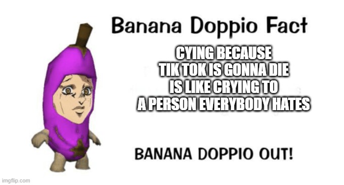 Banana Doppio | CYING BECAUSE TIK TOK IS GONNA DIE IS LIKE CRYING TO A PERSON EVERYBODY HATES | image tagged in banana doppio | made w/ Imgflip meme maker