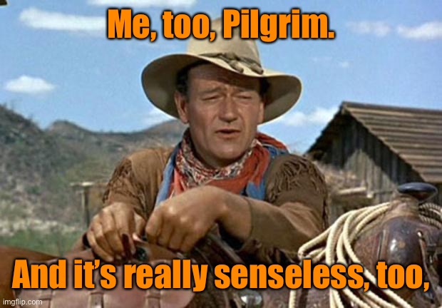 John wayne | Me, too, Pilgrim. And it’s really senseless, too, | image tagged in john wayne | made w/ Imgflip meme maker
