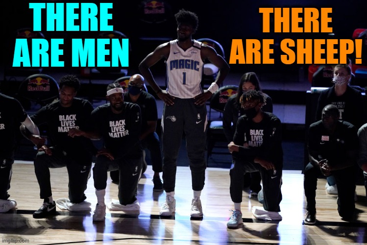 "Baaaaa Lives Matter," said the sheeple | THERE ARE MEN; THERE ARE SHEEP! | image tagged in vince vance,nba,blm,sheep,stand up,memes | made w/ Imgflip meme maker