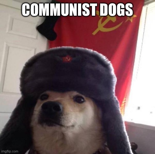 Russian Doge | COMMUNIST DOGS | image tagged in russian doge | made w/ Imgflip meme maker