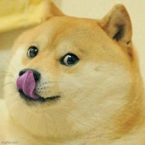 Doge Tongue | image tagged in doge tongue | made w/ Imgflip meme maker