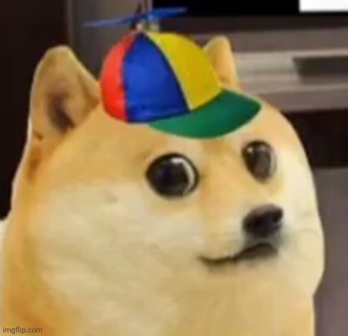 lil doge | image tagged in lil doge | made w/ Imgflip meme maker