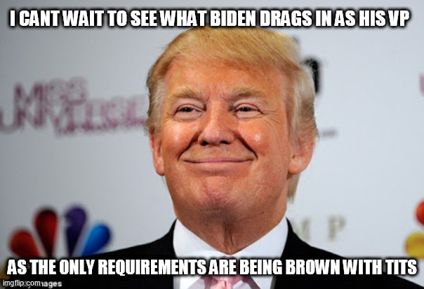 Donald trump approves | I CANT WAIT TO SEE WHAT BIDEN DRAGS IN AS HIS VP; AS THE ONLY REQUIREMENTS ARE BEING BROWN WITH TITS | image tagged in donald trump approves | made w/ Imgflip meme maker