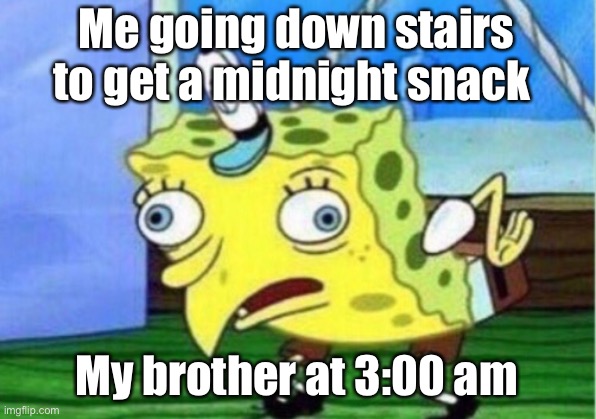 Mocking Spongebob | Me going down stairs to get a midnight snack; My brother at 3:00 am | image tagged in memes,mocking spongebob | made w/ Imgflip meme maker