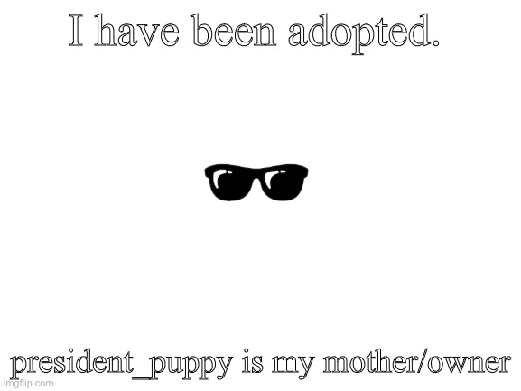 Thank you! | I have been adopted. president_puppy is my mother/owner | image tagged in blank white template | made w/ Imgflip meme maker