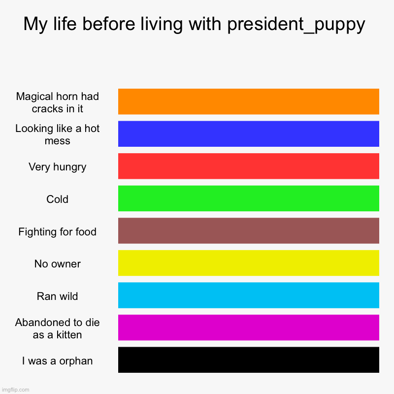 Thank you, president_puppy. I was so happy that I was finally going to get adopted! | My life before living with president_puppy | Magical horn had cracks in it, Looking like a hot mess, Very hungry, Cold, Fighting for food, N | image tagged in charts,bar charts | made w/ Imgflip chart maker