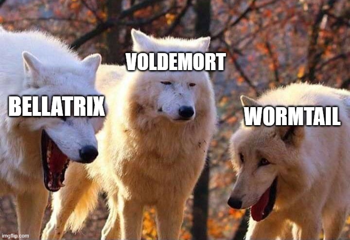 Laughing wolf | VOLDEMORT; BELLATRIX; WORMTAIL | image tagged in laughing wolf | made w/ Imgflip meme maker