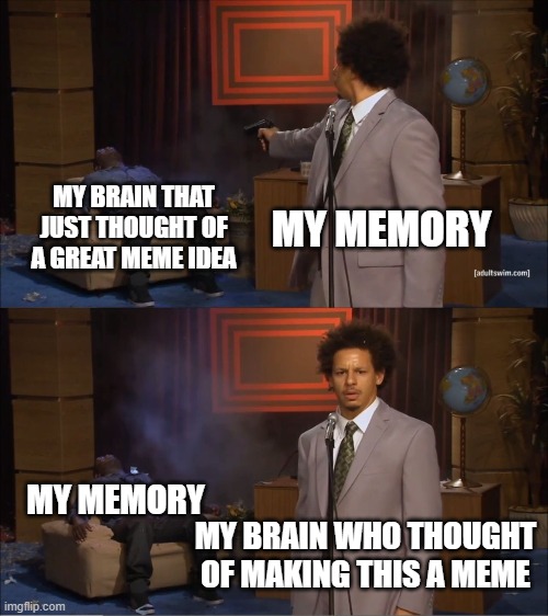 me everyday | MY BRAIN THAT JUST THOUGHT OF A GREAT MEME IDEA; MY MEMORY; MY MEMORY; MY BRAIN WHO THOUGHT OF MAKING THIS A MEME | image tagged in memes,who killed hannibal | made w/ Imgflip meme maker