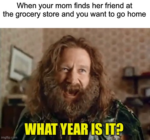 What Year Is It | When your mom finds her friend at the grocery store and you want to go home; WHAT YEAR IS IT? | image tagged in memes,what year is it,funny,so true memes | made w/ Imgflip meme maker