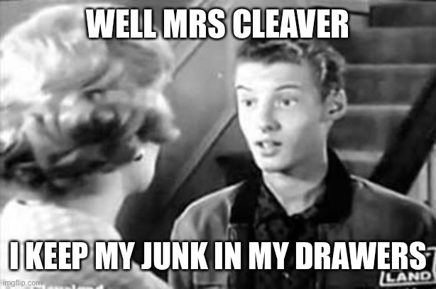 Eddie Haskell | WELL MRS CLEAVER I KEEP MY JUNK IN MY DRAWERS | image tagged in eddie haskell | made w/ Imgflip meme maker