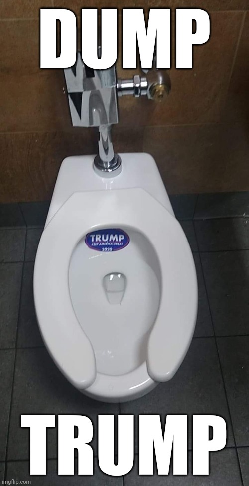 Dump trunp | DUMP; TRUMP | image tagged in trump,president trump,shit,bigot,dump trump | made w/ Imgflip meme maker