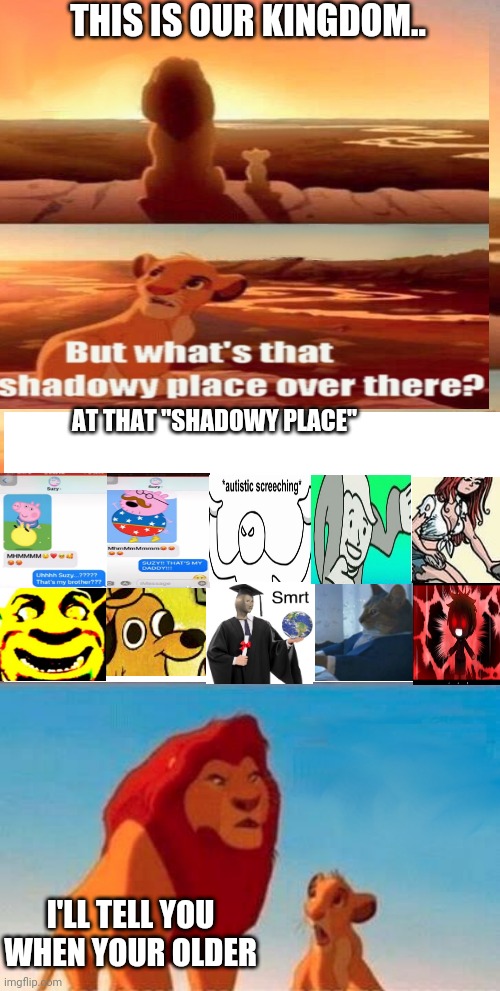 B a a a | THIS IS OUR KINGDOM.. AT THAT "SHADOWY PLACE"; I'LL TELL YOU WHEN YOUR OLDER | image tagged in memes,simba shadowy place | made w/ Imgflip meme maker