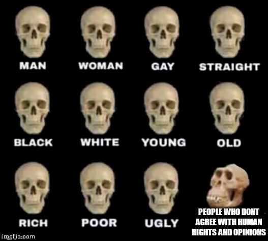 idiot skull | PEOPLE WHO DONT AGREE WITH HUMAN RIGHTS AND OPINIONS | image tagged in idiot skull | made w/ Imgflip meme maker