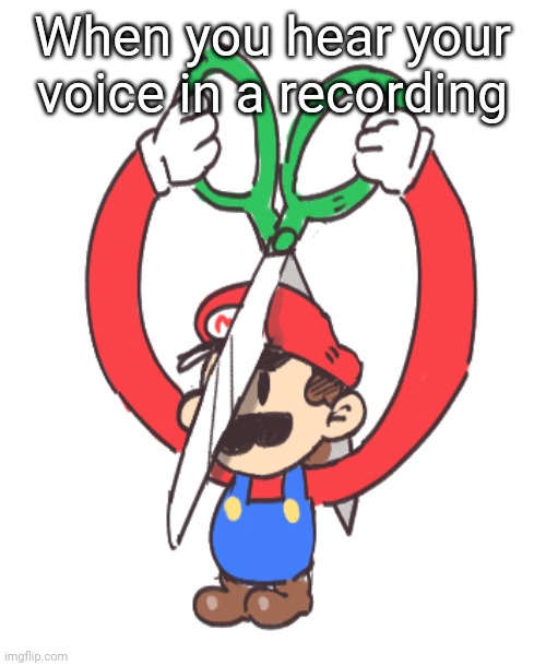 it sounds like SHIT | When you hear your voice in a recording | image tagged in relatable,super mario | made w/ Imgflip meme maker