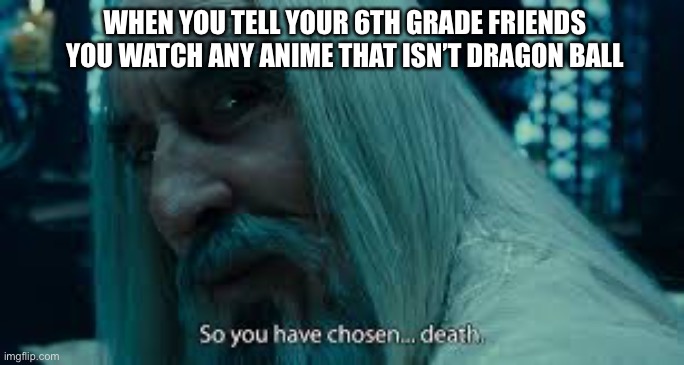 So you have chosen death | WHEN YOU TELL YOUR 6TH GRADE FRIENDS YOU WATCH ANY ANIME THAT ISN’T DRAGON BALL | image tagged in so you have chosen death | made w/ Imgflip meme maker