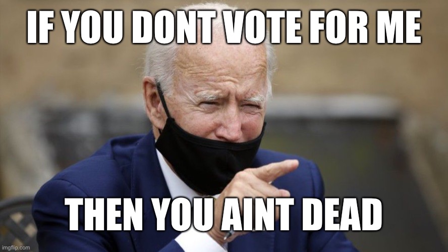 Today Im Joe Biden | IF YOU DONT VOTE FOR ME; THEN YOU AINT DEAD | image tagged in schmo joe ho bin biden | made w/ Imgflip meme maker