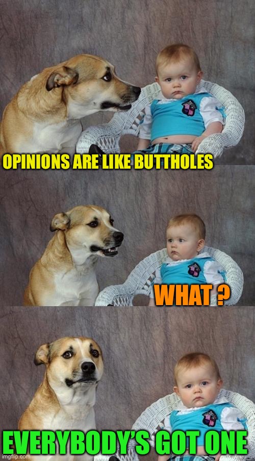 Dad Joke Dog Meme | OPINIONS ARE LIKE BUTTHOLES WHAT ? EVERYBODY’S GOT ONE | image tagged in memes,dad joke dog | made w/ Imgflip meme maker