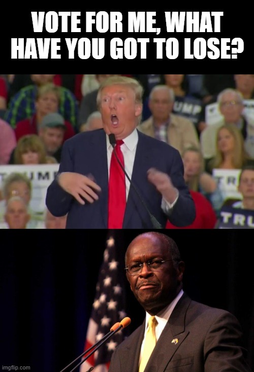 Well so far, 150,000 American lives, 2 TRILLION in debt, and respect of the world, ........ | VOTE FOR ME, WHAT HAVE YOU GOT TO LOSE? | image tagged in donald trump mocking disabled,donald trump is an idiot,maga,memes,politics,corruption | made w/ Imgflip meme maker