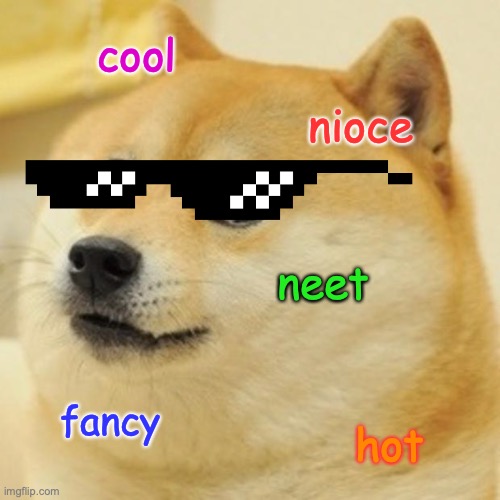Doge | cool; nioce; neet; fancy; hot | image tagged in memes,doge | made w/ Imgflip meme maker