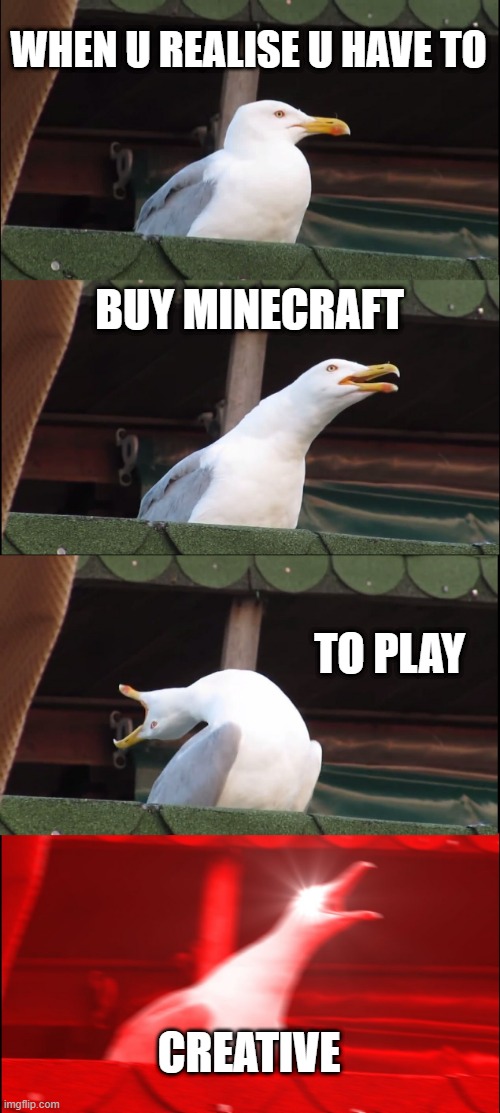 the seagull to be vibin doe | WHEN U REALISE U HAVE TO; BUY MINECRAFT; TO PLAY; CREATIVE | image tagged in memes,inhaling seagull | made w/ Imgflip meme maker