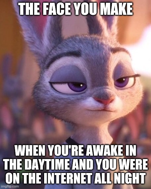 Sleepy Judy Hopps | THE FACE YOU MAKE; WHEN YOU'RE AWAKE IN THE DAYTIME AND YOU WERE ON THE INTERNET ALL NIGHT | image tagged in judy hopps sleepy,judy hopps,zootopia,the face you make when,funny,memes | made w/ Imgflip meme maker