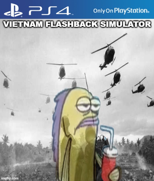 VIETNAM FLASHBACK SIMULATOR | image tagged in ps4 | made w/ Imgflip meme maker