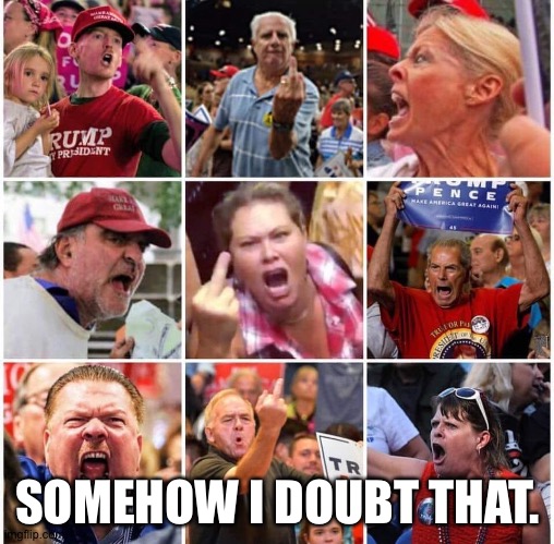 Triggered Trump supporters | SOMEHOW I DOUBT THAT. | image tagged in triggered trump supporters | made w/ Imgflip meme maker