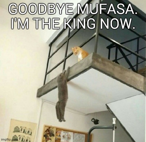 GOODBYE MUFASA. I'M THE KING NOW. | image tagged in cats | made w/ Imgflip meme maker