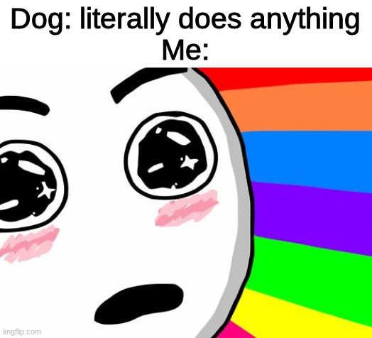 amazing | Dog: literally does anything
Me: | image tagged in amazing,memes,funny memes,funny | made w/ Imgflip meme maker