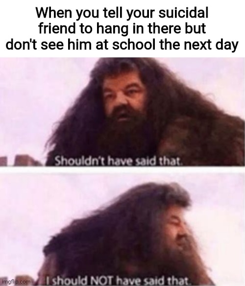 Shouldn't have said that | When you tell your suicidal friend to hang in there but don't see him at school the next day | image tagged in shouldn't have said that,dark humor,funny,memes | made w/ Imgflip meme maker