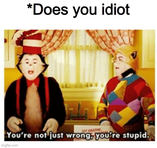 You're not just wrong your stupid | *Does you idiot | image tagged in you're not just wrong your stupid | made w/ Imgflip meme maker