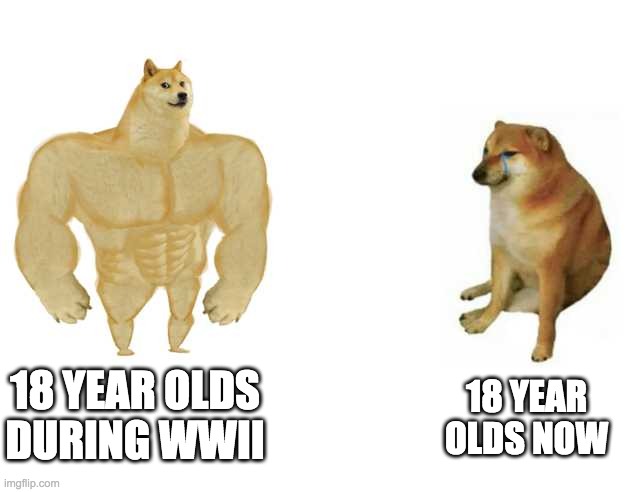wow | 18 YEAR OLDS NOW; 18 YEAR OLDS DURING WWII | image tagged in strong doge weak doge | made w/ Imgflip meme maker