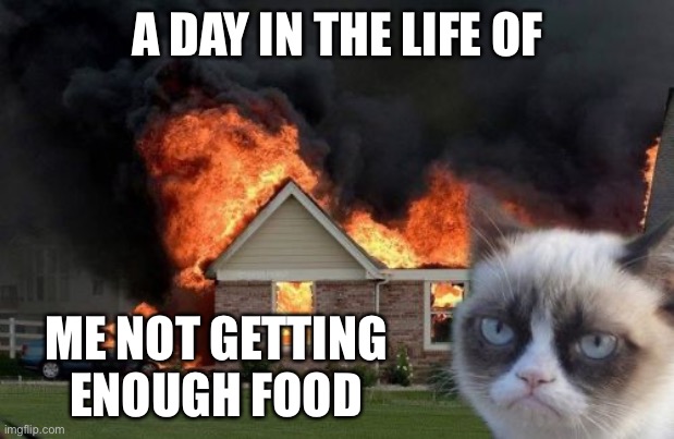 Burn Kitty |  A DAY IN THE LIFE OF; ME NOT GETTING ENOUGH FOOD | image tagged in memes,burn kitty,grumpy cat | made w/ Imgflip meme maker